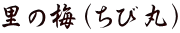 里の梅(ちび丸)