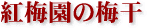 �g�~���̔~��